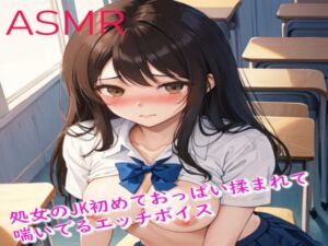 [RJ01233689][妄想ヌルヌル女学院] 処女のJKが彼氏に初めておっぱい揉まれて喘いでるエッチボイスがこちら