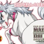 MARE HOLIC