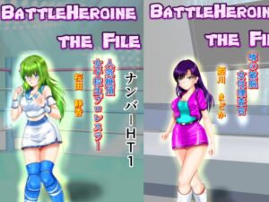 [RJ01230599][MzFist] BattleHeroine The File V5 ナンバーHT1・HT2・HT3