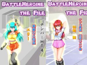 [RJ01230616][MzFist] BattleHeroine The File V6 ナンバーHT4・HT5・HT6