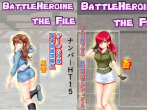 [RJ01230632][MzFist] BattleHeroine The File V7 ナンバーHT15・HT20・HT25