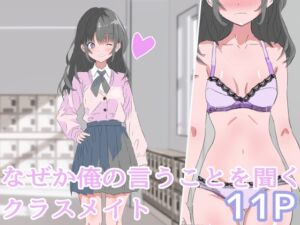 [RJ01243220][わくわくパラダイス] なぜか俺の言うことを聞くクラスメイト