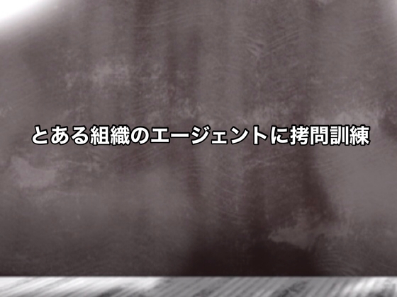 とある組織のエージェントに○問訓練