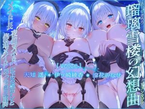 [RJ01255867][みんなで翻訳] 【簡体中文版】【メイドさんハーレム♪】瑠璃雪楼の幻想曲 メイド長 夜伽メイド 修道メイドによる癒やしとえっちの三重奏【KU100ハイレゾ】