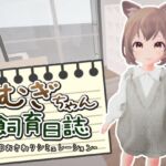 むぎちゃん飼育日誌