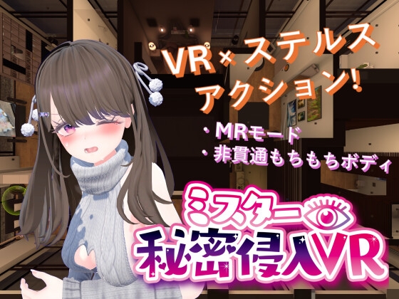 ミスター秘密侵入VR