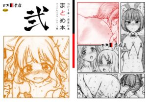 [RJ01270014][エス書店] コピー本・おまけ本 まとめ本 2 アイド○○スターシリーズ編