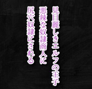 [RJ01280902][わんわんガーデン] 見目麗しきエルフの王子、悪辣な奴○商人に尻穴奴○にされる