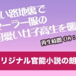 暗い路地裏でセーラー服の可愛い女子高生を襲う【オリジナル官能小説の朗読】