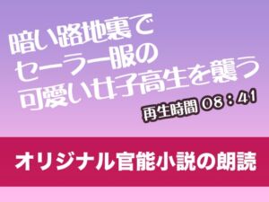 [RJ01293732][tumugiko@novel] 暗い路地裏でセーラー服の可愛い女子高生を襲う【オリジナル官能小説の朗読】