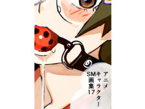 [RJ01293915][きゅうり夫人] アニメキャラクターSM画集17