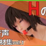 【Hの音声素材集vol.1】～商用OK著作権フリー