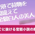 空港で荷物を間違えて金髪白人の美人と【すぐに抜ける官能小説の朗読】