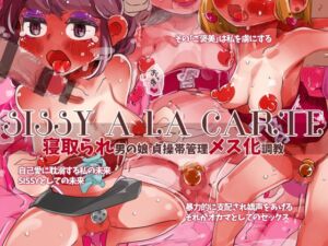 [RJ01299779][SWEETTABOO] 『SISSYALACARTE38』～強○メス化調教CG集～