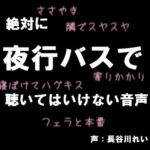 絶対に夜行バスで聴いてはいけない音声【囁き/耳舐め/フェラ/おさわり/本番】