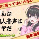 こんな同人音声はイヤだ【CV:西瓜すいか】