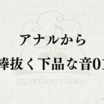 【効果音】アナルから棒抜く下品な音01