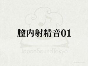 [RJ01316820][JapanSoundTokyo] 【効果音】膣内射精音01