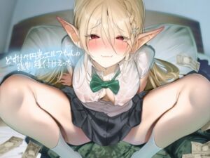 [RJ01324459][みんなで翻訳] 【簡体中文版】どすけべ円光エルフちゃんの強○種付けえっち【フォーリーサウンド】