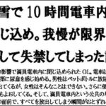 積雪で10時間電車内に閉じ込め。我慢が限界に達して失禁してしまった話