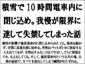 [RJ01321729][CMNFリアリズム] 積雪で10時間電車内に閉じ込め。我慢が限界に達して失禁してしまった話