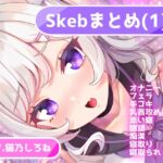 Skebまとめ(1)