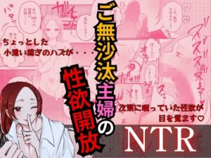 [RJ01344745][イタズラ屋] ご無沙汰主婦の性欲開放NTR