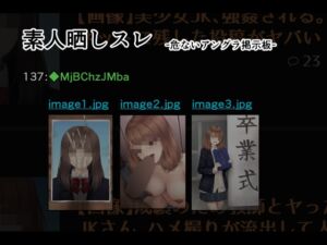 [RJ01345457][オツカノリッヒ] 素人晒しスレ -危ないアングラ掲示板-