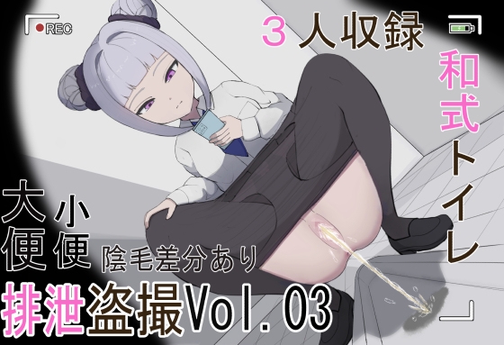排泄盗撮Vol.03