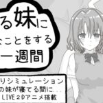 寝てる妹にHなことをする一週間