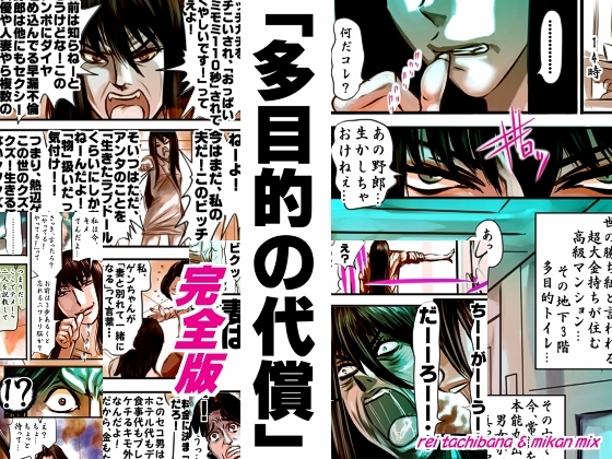 完全版 多目的の代償