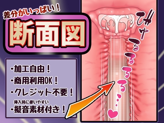 差分がいっぱい！断面図