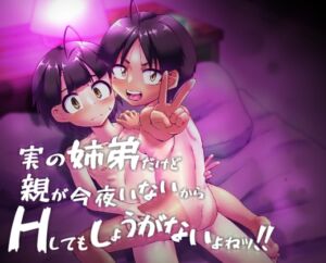 [RJ01376943][黒堂ホールディングス(株)] 実の姉弟だけど親が今夜いないからHしてもしょうがないよねッ！！