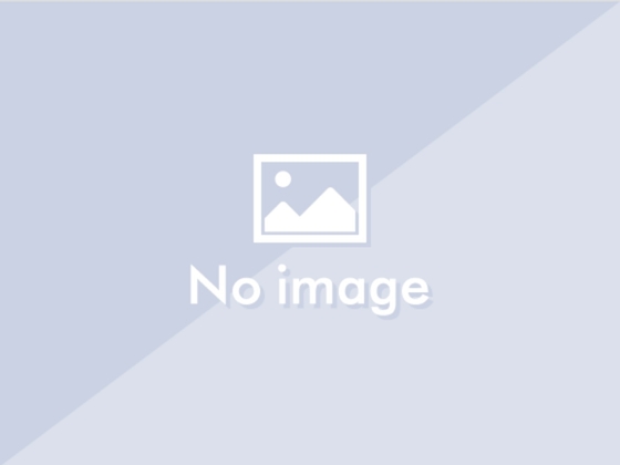 綺麗なお姉さんがM男をATM化するシンプルな話