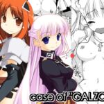 case of "GALZOO"