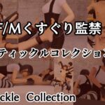 F/Mくすぐり監禁 Tickle Collection F/Mくすぐり監禁 Tickle Collection