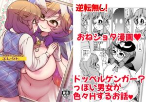 [RJ01388367][魔導資料室] エレクト