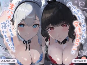 【ALL無声音】フル勃起でメイドの発情トロマンに生ハメしたまま寝れますか?【スローセックス/ずっと生ハメ】 (バブバブの森) の発売予告 [RJ01392175]