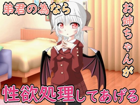 弟君の性欲処理はお姉ちゃんがしてあげる