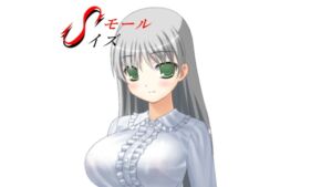 [RJ01402846][SモールSイズ] 王女のお務め