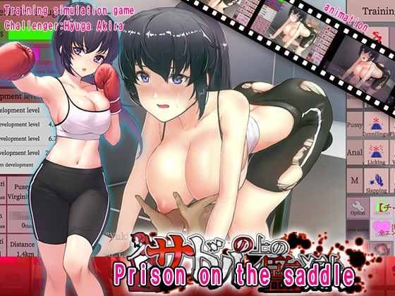 Prison on the saddle