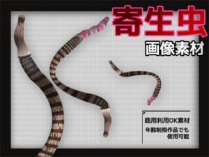 [RJ01405721][商用利用OK素材] 寄生虫の画像素材～商用OK著作権フリー～3D画像素材シリーズ