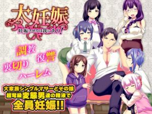 [RJ01413194][大和ふみ] 大妊娠 妊娠させるは我にあり！