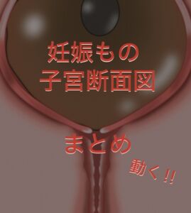 [RJ01415718][よろしくです] 動く‼︎妊娠もの断面図もの まとめ