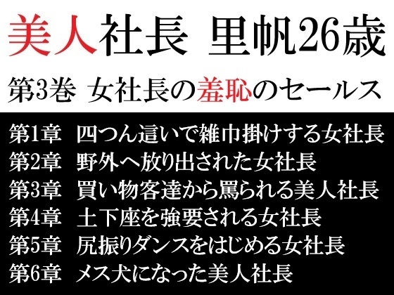 美人社長 里帆26歳 第3巻 女社長の羞恥のセールス