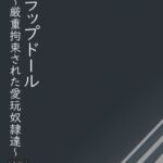 スラップドール～厳重拘束された愛玩奴○達～
