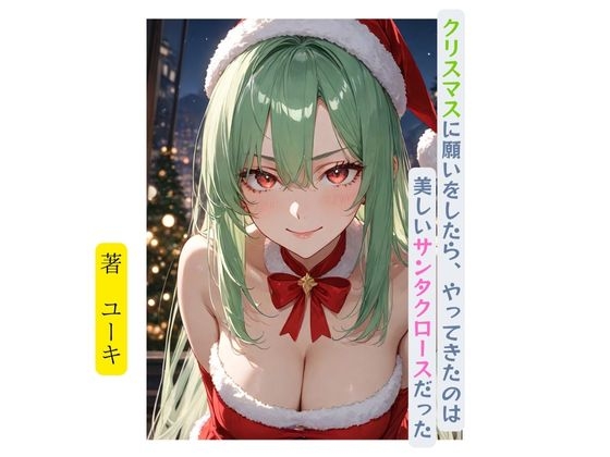 クリスマスに願いをしたら、やってきたのは美しいサンタクロースだった