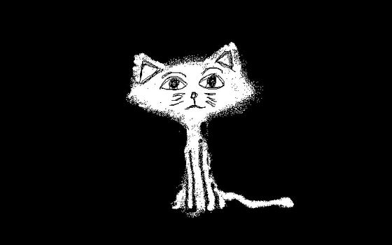 The cat lost half of itself