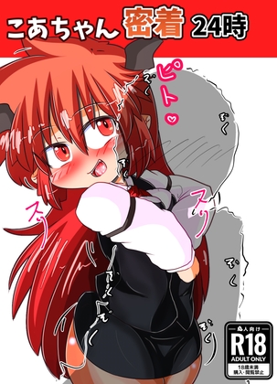 こあちゃん密着24時