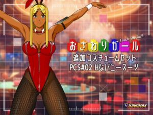 [RJ01435003][Sawatex] PCS#02 Hなバニースーツ - おさわりガール追加コスチュームセット